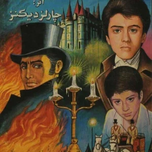 کتاب آرزوهای بزرگ اثر چارلز دیکنز نسخه PDF فارسی