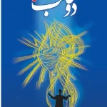 کتاب مدیتیشن دو قلب اثر استاد چوآ کوک سویی نسخه PDF فارسی