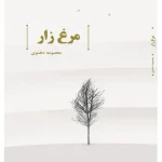 کتاب مرغ‌زار اثر معصومه دهنوی نسخه PDF فارسی